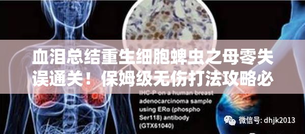 血淚總結重生細胞蜱蟲之母零失誤通關！保姆級無傷打法攻略必存